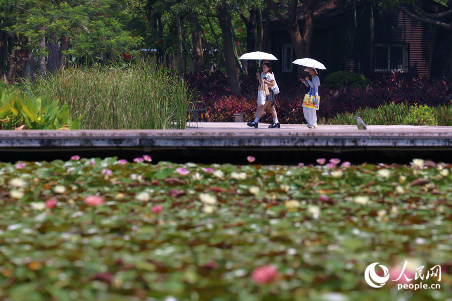 市民游客漫步于蓮池廊道。人民網(wǎng)記者 陳博攝