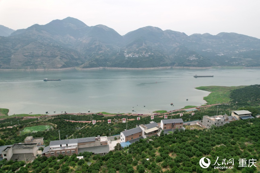 三沱村正以“三峽橙莊”建設(shè)為契機，描繪鄉(xiāng)村振興新圖景。人民網(wǎng)記者 劉政寧攝