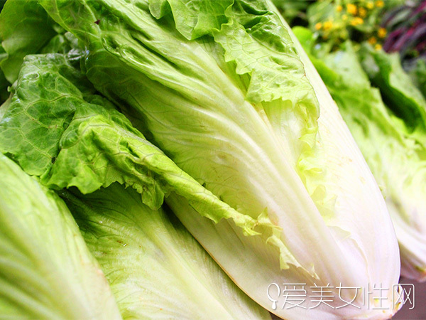  時令野菜| 美味健康兼顧的春之饗宴 